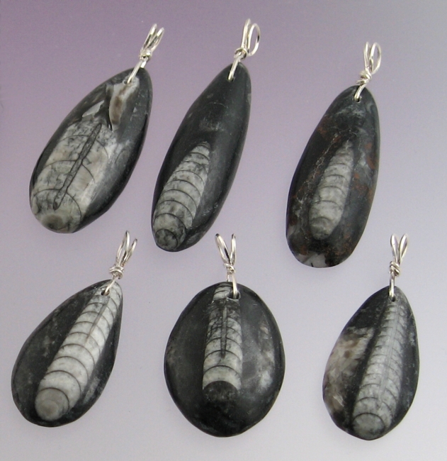 Orthoceras Pendants