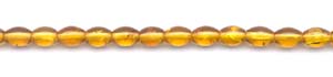 Amber Stone