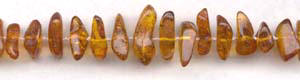 Amber Stone