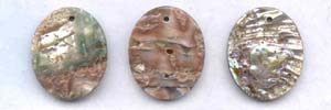 Abalone Pendant Beads