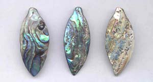 Abalone Pendant Beads