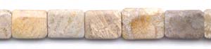 Fossil Coral Beads