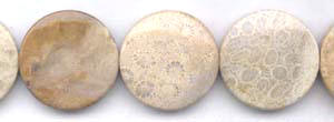 Fossil Coral Beads