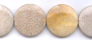 Fossil Coral Beads