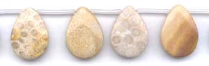 Fossil Coral Beads