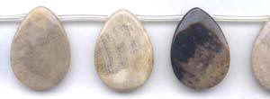 Fossil Coral Beads