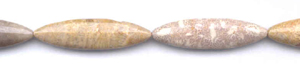 Fossil Coral Beads