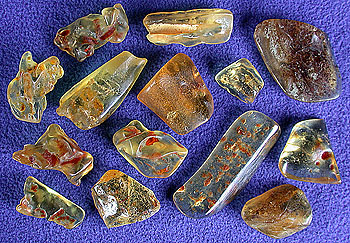 Amber Stones