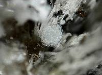 Beryllonite Crystals