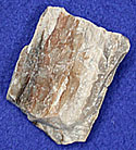 Small Petrified Wood