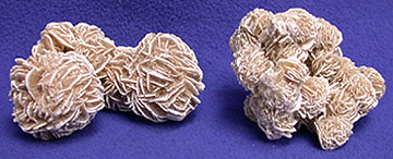 Desert Rose Selenite