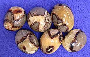 Septarian Nodules Polished