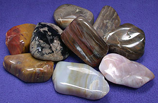 Tumbled Petrified Wood