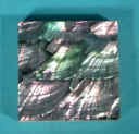 Abalone Shell Tiles