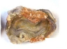 Amorite Chalcedony Rose