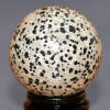 Dalmatian Jasper