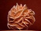 Desert Rose Healing