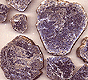 LEPIDOLITE HEALING STONES