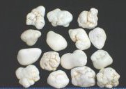 WHITE MAGNESITE NUGGETS STONES 