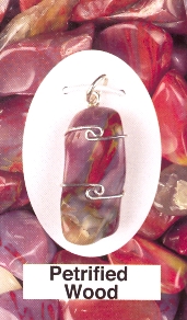 Petrified Wood Wire Wrapped Stone Pendants