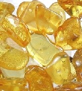 Amber Tumbled Pieces