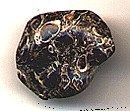 Turitella Or Turritella Fossil Healing Stones