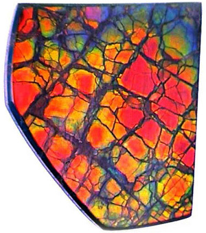 Ammolite Healing