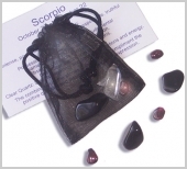 SCORPIO AMULET POUCH