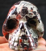 African Leopard Skin Jasper Skulls