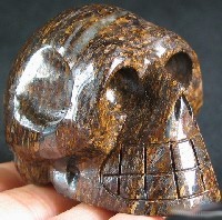 Shimmering Bronzite Skulls