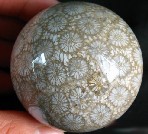 Coral Fossil Sphere