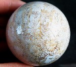 Coral Fossil Sphere