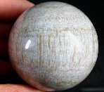 Coral Fossil Sphere