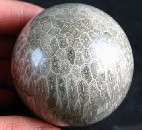 Coral Fossil Sphere