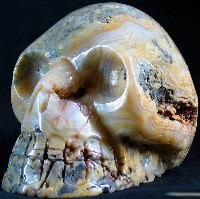 Crazy Lace Agate Skulls