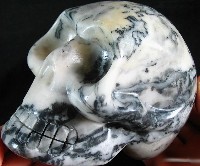 Crocodile Jasper Skulls