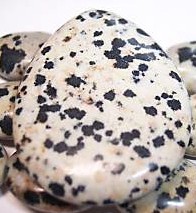 Dalmatian Jasper Teardrop