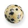 Dalmatian Jasper Bead