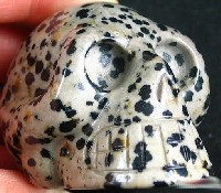 Dalmatian Jasper Skulls