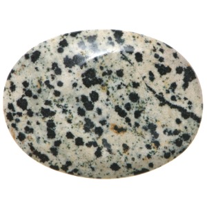 Dalmatian Jasper Thumb Stone