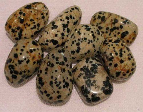 Dalmation Jasper Tumbled