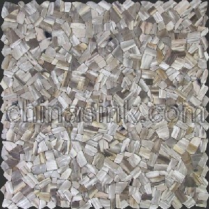 Petrified Wood, Fossil Wood  crazy paver stone mosaic