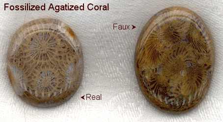 Agatized Fossil Coral Healing