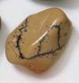 Ivory Jasper