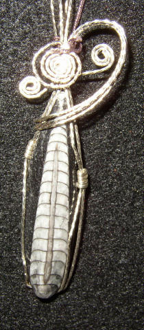 Orthoceras Wire Wrapped Pendants