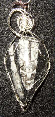 Double Orthoceras Wire Wrapped Pendants
