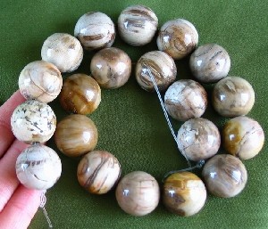 Petrified Wood Bead 