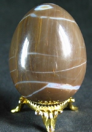 Petrified Wood Egg