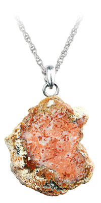 Petrified Wood Slice Necklace 