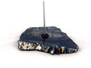 PETRIFIED WOOD 1 PRONG BEAD DISPLAY